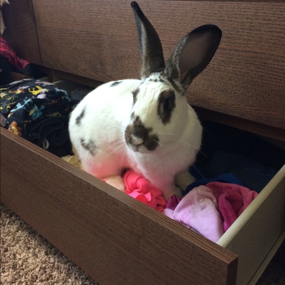 Nuclear_kiwi’s closet 🌙✨ - Picture 3 of 4